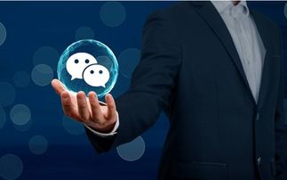 微街客怎么做 深圳企动sell 微街客怎么样